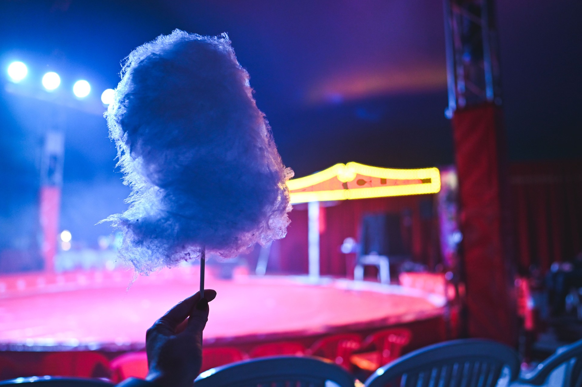 Eating sweet cotton sugar at circus.